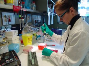 image of a researcher at laboratory