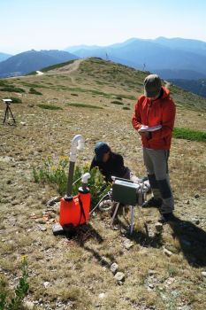 imagen de estudios de ecofisiología y biodiversidad