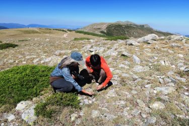 imagen de estudios de ecofisiología y biodiversidad