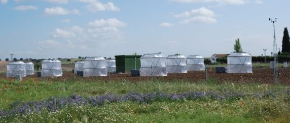 imagen de la instalación de cámaras de techo descubierto