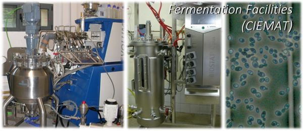 Foto de laboratorio de fermentación