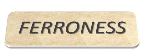 FERRONESS Project