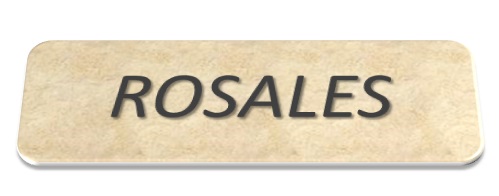 ROSALES Project