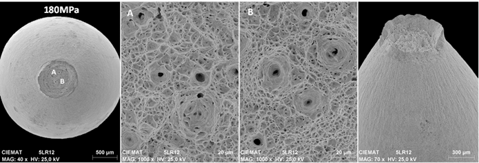 Muestras microscopicas fluencia