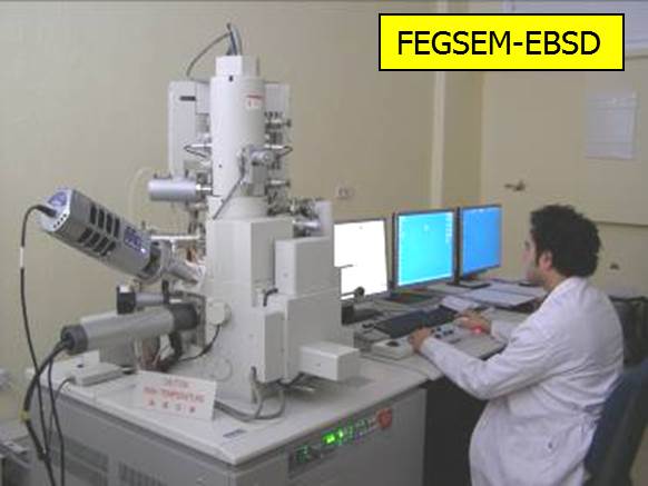 Microscopio FEGSEM
