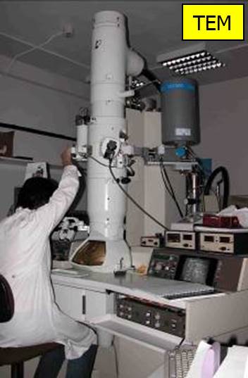 Microscopio TEM