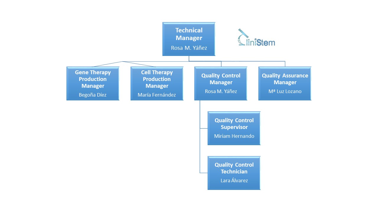 Clinistem Organization