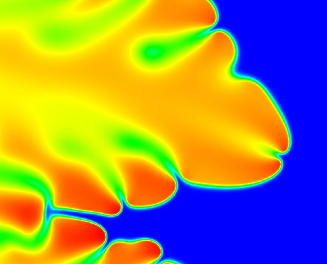 Simulación numérica en celda de Hele-Shaw