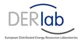 Logo de la asociación DERLAB