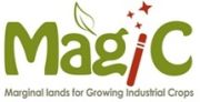logo de Magic