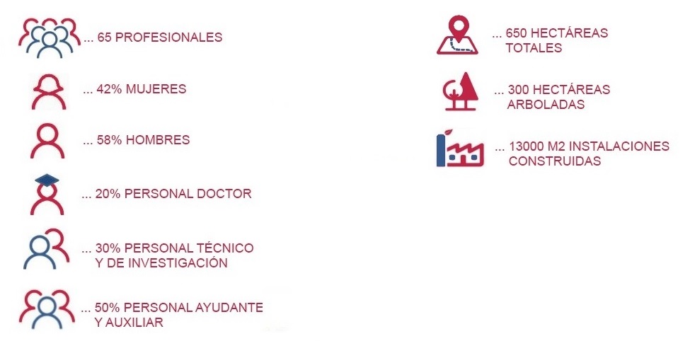 CEDER: en tanto por cien: 42 mujeres,58 hombres,20 doctores,30 técnicos,50 auxiliares