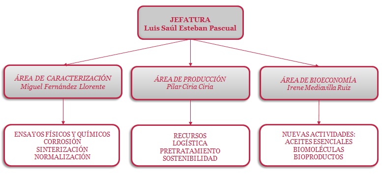 organigrama de biomasa