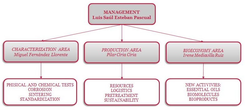 structure of biomasa