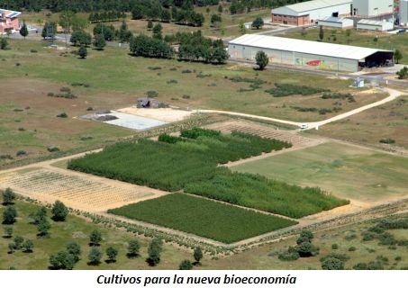 Imagen de Cultivos para la Nueva Bioeconomía