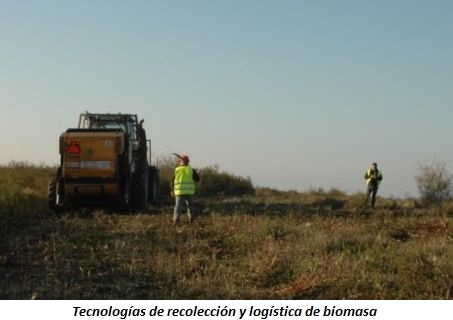 Imagen de Tecnologías de Recolección y Logística de Biomasa