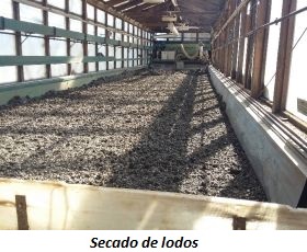 imagen de secadero híbrido solar