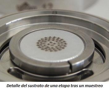 Detalle del sustrato de una etapa tras un muestreo Detalle del sustrato de una etapa tras un muestreo