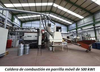 Caldera de combustión en parrilla móvil de 500 kWt