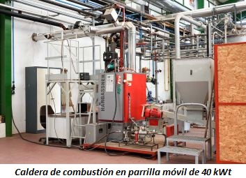 Caldera de combustión en parrilla móvil de 40 kWt