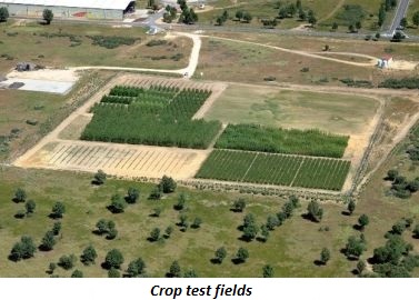 aerial photo of crop test fields