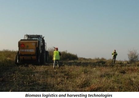 Photo of biomass logistics and harvesting technologies
