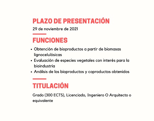 Cartel 2 de la convocatoria