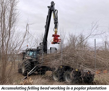 image of accumulating felling head