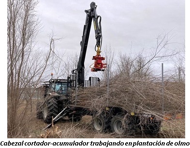 imagen de cabezal cortador-acumulador