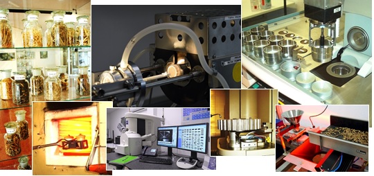imagenes del laboratorio de caracterización de biomasa