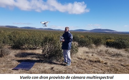 Foto de vuelo con dron
