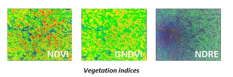 image of vegetation indices