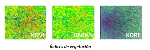 imagen mediante diferentes índices de vegetación