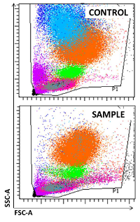 Immunophenotyping