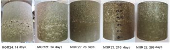 Fig. 3. Aspecto de diversas muestras constituidas por pellets de bentonita (abajo) y bloques (arriba) después de diferentes periodos de hidratación bajo condiciones de volumen constante. 