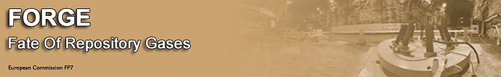 Forge logo