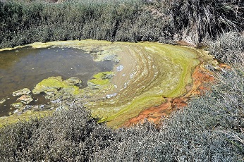 imagen de monitorización ambiental (7)