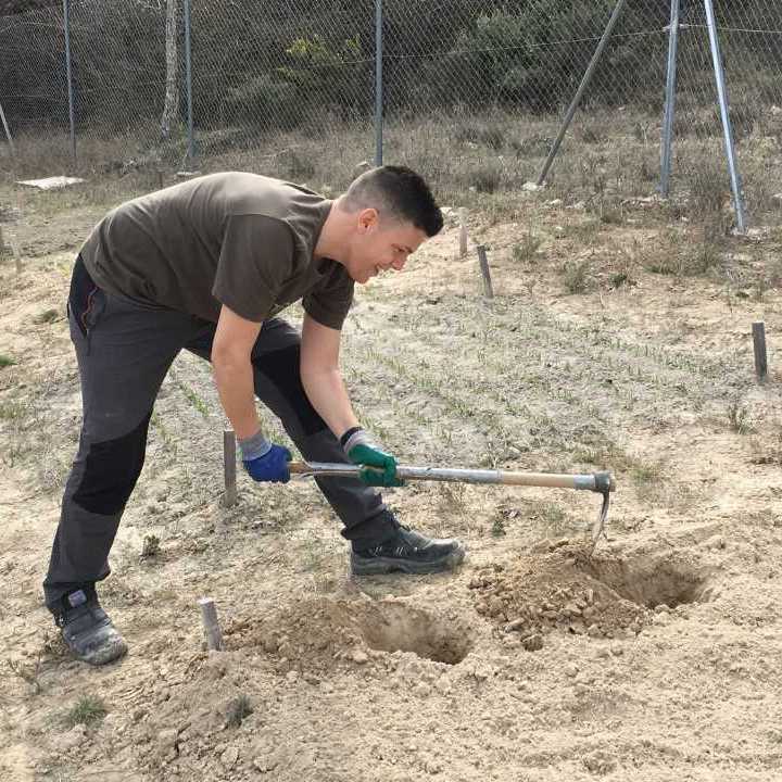 Carlos Menárguez trabajando en el campo