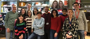 Buenos resultados clínicos preliminares del primer paciente con deficiencia en piruvato quinasa tratado con terapia génica