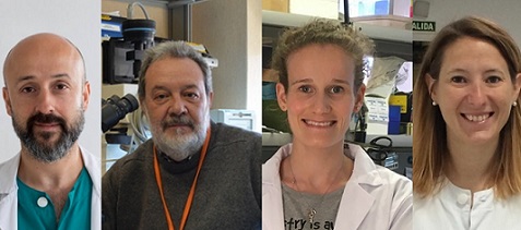 La inmunoterapia, posible opción terapéutica en el tratamiento del cáncer de ovario epitelial